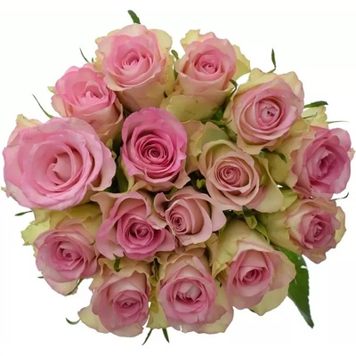Kytice 15 žíhaných růží LOVELY JEWEL 40cm
