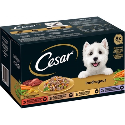 Cesar Landragout 4 příchutě 64 x 150 g