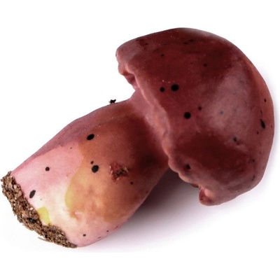 Umělé houby - červenohnědá