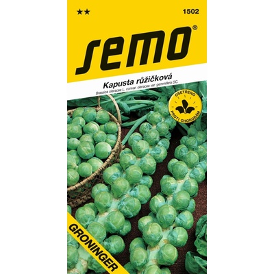 SEMO Kapusta růžičková Groninger