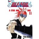 Bleach 11