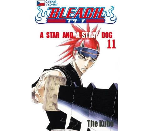 Bleach 11