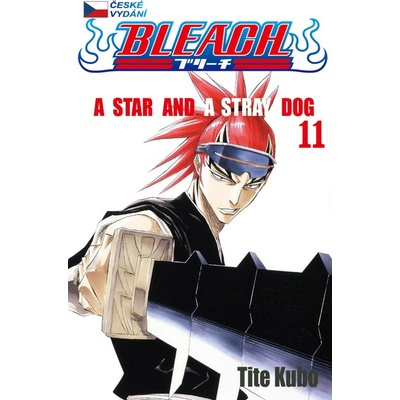 Bleach 11