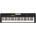 Casio CT-S100