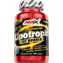 Amix Lipotropic Fat Burner 100 kapsúl