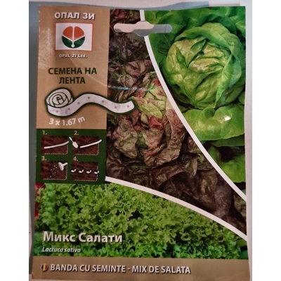 Opal Zi Семена на лента за микс Салати Lactuca sativa