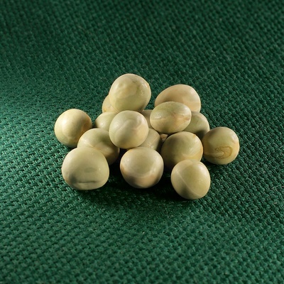 AROS hrách setý – zelený