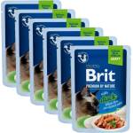 Brit Капсула BRIT Premium Cat Delicate Fillets in Gravy with Duck for Sterilised 6 x 85 г