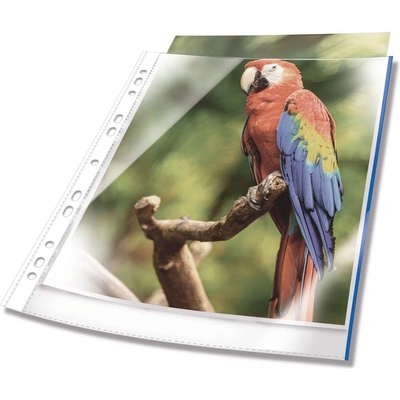 DURABLE Джоб за документи Premium, със синя лента, 10 броя (1070160101)