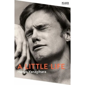 Little Life (ISBN: 9781529077216)