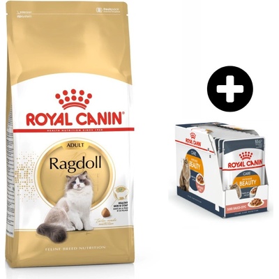 Royal Canin BREED Ragdoll 10 kg