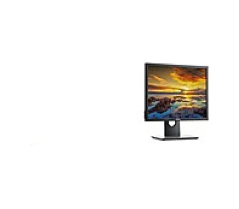 Dell P1917S