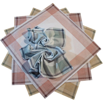 Etex Světlé látkové kapesníky pánské