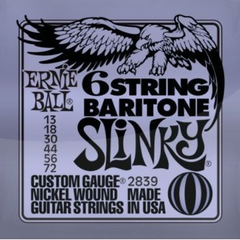 Ernie Ball 2839