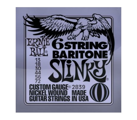 Ernie Ball 2839