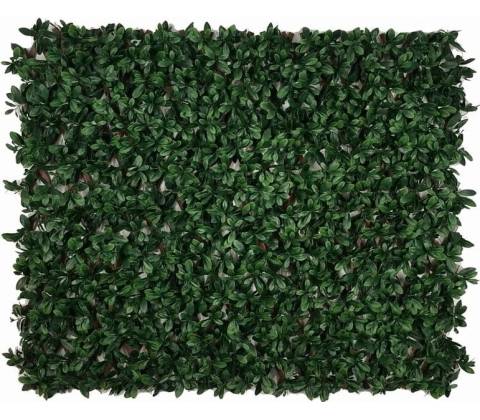 LAURUS EXT, rozmer 1,0x2,0 m