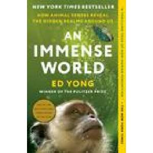 IMMENSE WORLD | YONG ED (2023)
