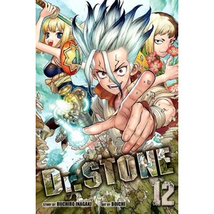 Dr. STONE, Vol. 12 (ISBN: 9781974715299)
