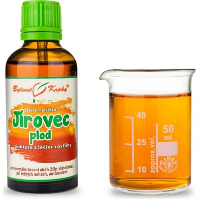 Pagaštan konský plod bylinné kvapky tinktúra duša rastlín 50 ml