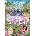 Where's Stitch? LIMITED EASTER EDITION | Walt Disney