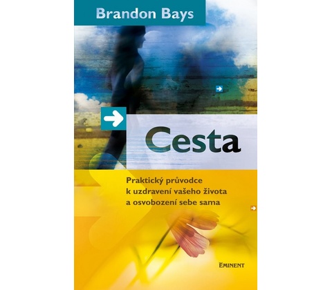 Cesta - Brandon Bays