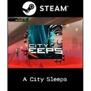 A City Sleeps
