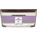 WoodWick Trilogy Amethyst Sky 453,6 g