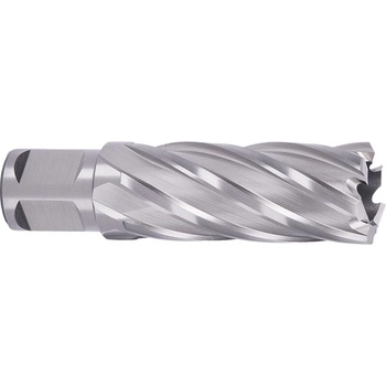 ABSE N-HS-W19-0220050