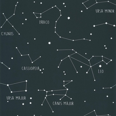 Caselio 101916918 Vliesová tapeta na zeď OUR PLANET rozměry 0,53 x 10,05 m