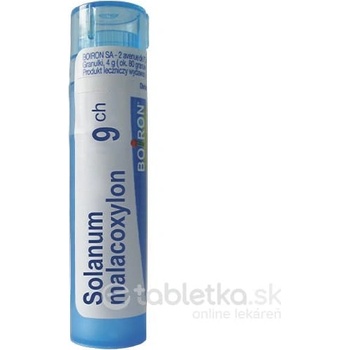 Solanum Malacoxylon gra.1 x 4 g 9CH