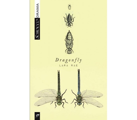 Dragon fly