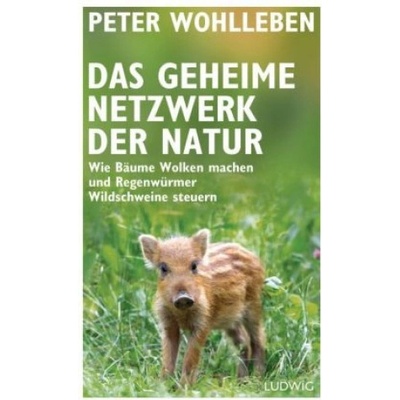 Das geheime Netzwerk der Natur