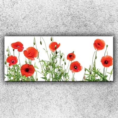 IMPAR Fotografie na plátno Pole vlčích máků 120x50 cm