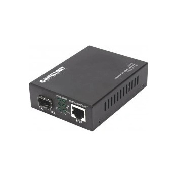 Intellinet 508216