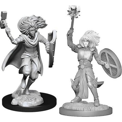 Dungeons & Dragons Nolzur s Marvelous Miniatures: Changeling Cleric