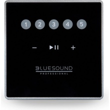 Dálkový ovladač Bluesound Professional CP100