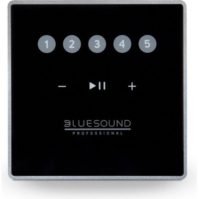 Dálkový ovladač Bluesound Professional CP100