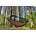 DD Hammocks Frontline King Size