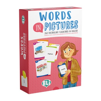 Words in Pictures flashcards printed set + Digital version and ELILink