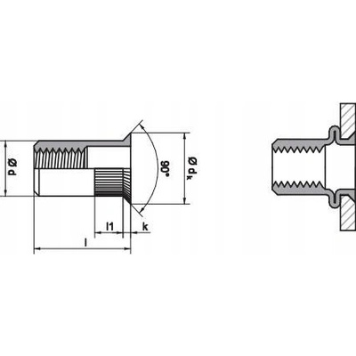 Nýtovací matice se zápustnou hlavou M10 / balení 250 ks
