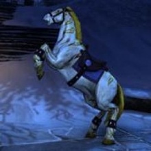 Neverwinter Gilded White Steed