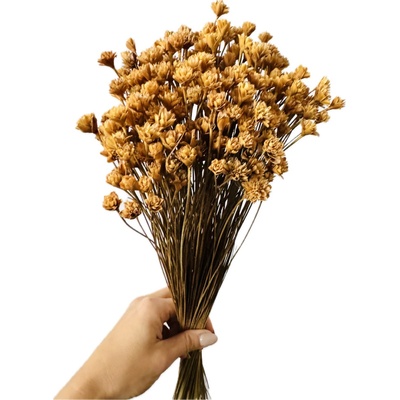Sušená květina Hill Flower přírodní svazek 50g