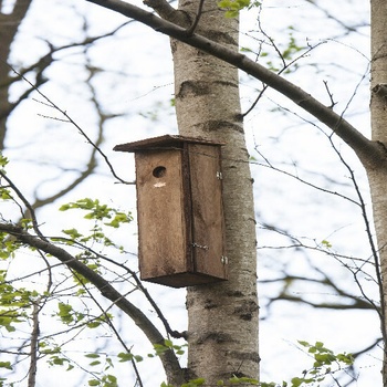 Esschert Design Budka "BEST FOR BIRDS" pro datla