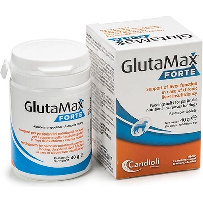 Candioli GlutaMax Forte 20 tbl