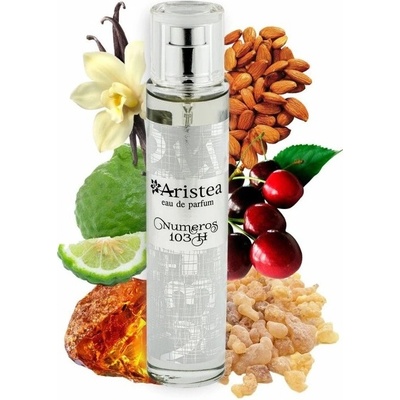 Aristea Numeros 103 parfumovaná voda pánska 50 ml