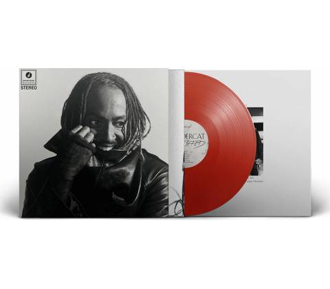 THUNDERCAT - DISTRACTED LP