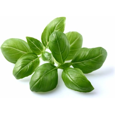 Click and Grow Bazalka