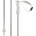 Völkl Phantastick W