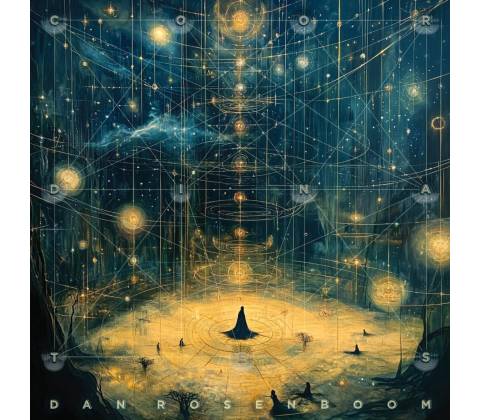 Roseboom Dan - Coordinates / Vinyl LP