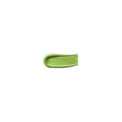 Darwi Leather barva na kůži 50 ml 601 lime green